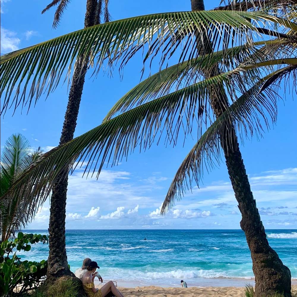 🌊🌴🌺 - Picture 2 of 3